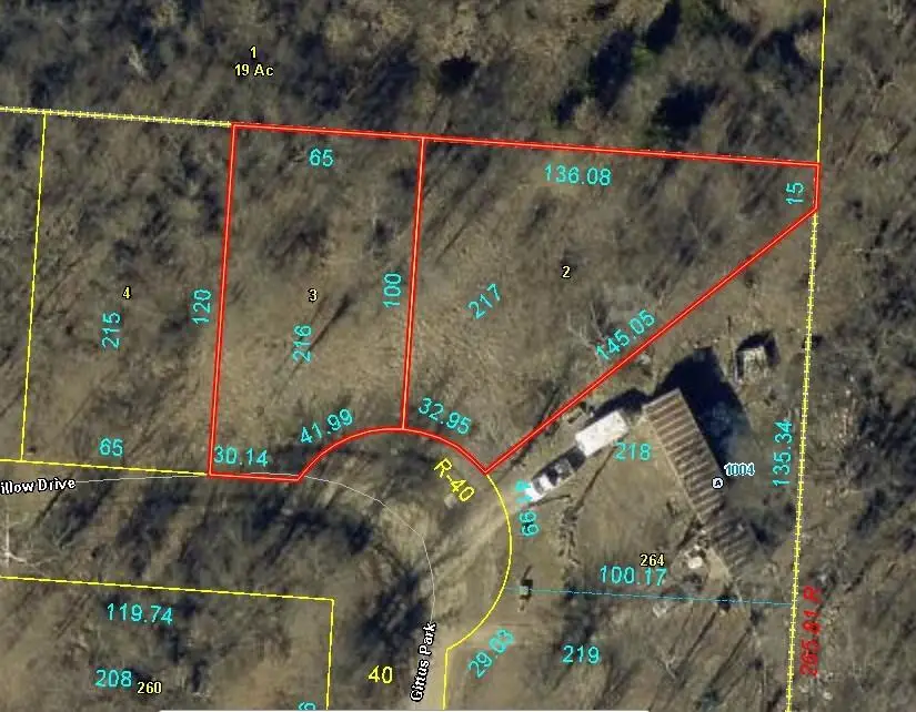 Plat H Lot 216&217 Willow Drive, Odessa, MO 64076 - #2
