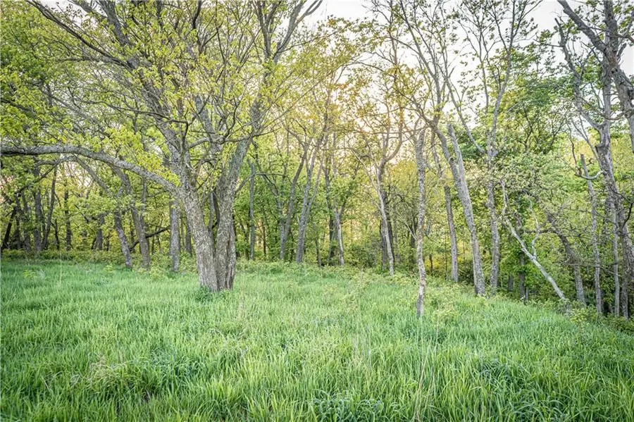 T Road, Janesville, KS 66860 - #3