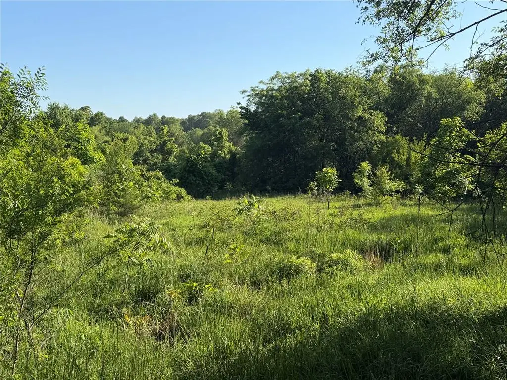 400 S Stratton Street, Jerico Springs, MO 64756 - #1