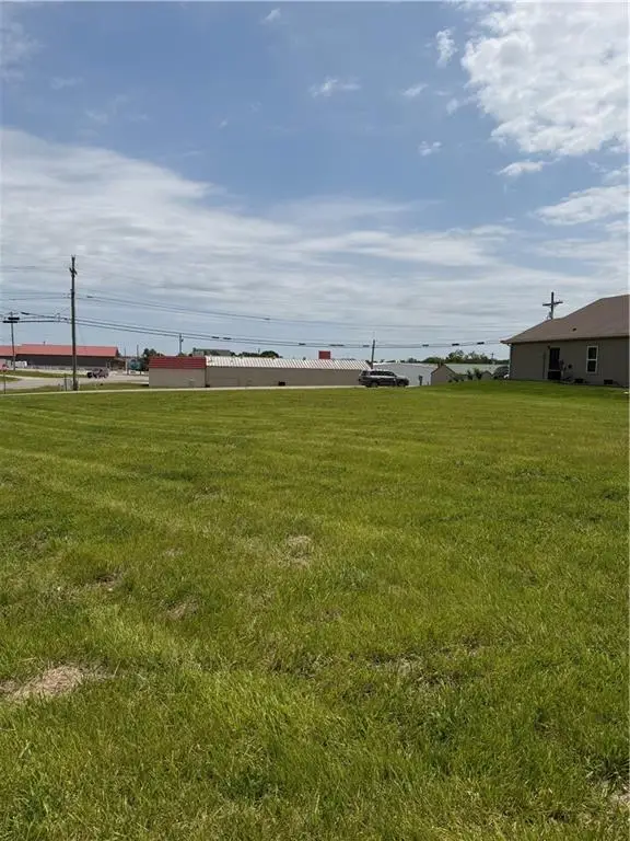 1910 Howenstein Street, Cameron, MO 64429 - #1