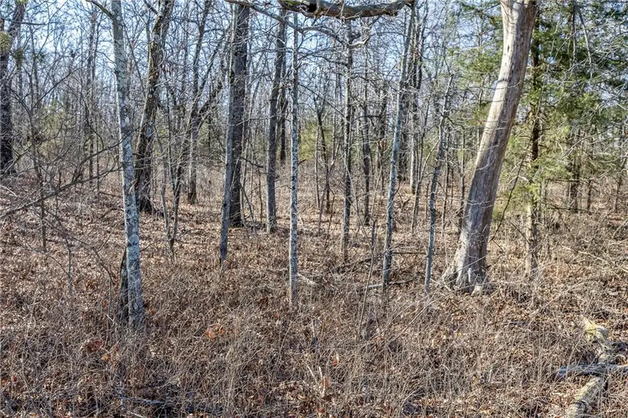 xx Tract 1 Lindley Road, Buffalo, MO 65622 - #2