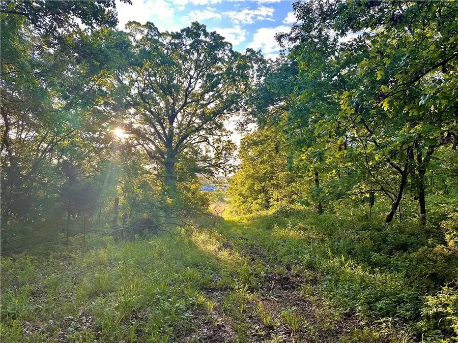 E 2100 Road, Jerico Springs, MO 64756 - #3
