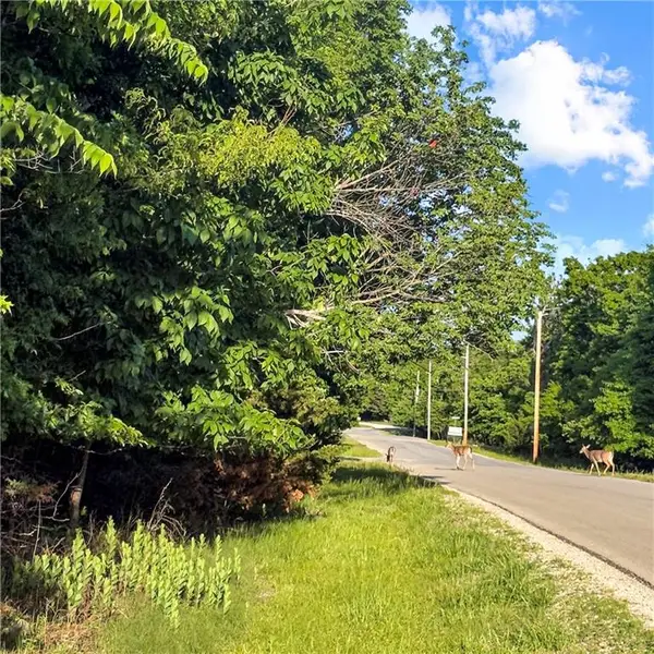 178 Mystic Valley N/a, Linn Valley, KS 66040