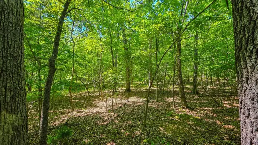 Lot #1150 Spring Creek Drive, Jasper, MO 65070 - #3