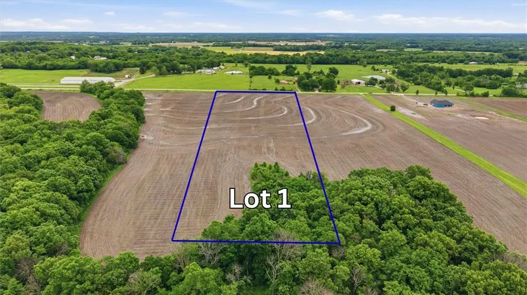 Lot 1 State Route W Highway, Drexel, MO 64742 - #1