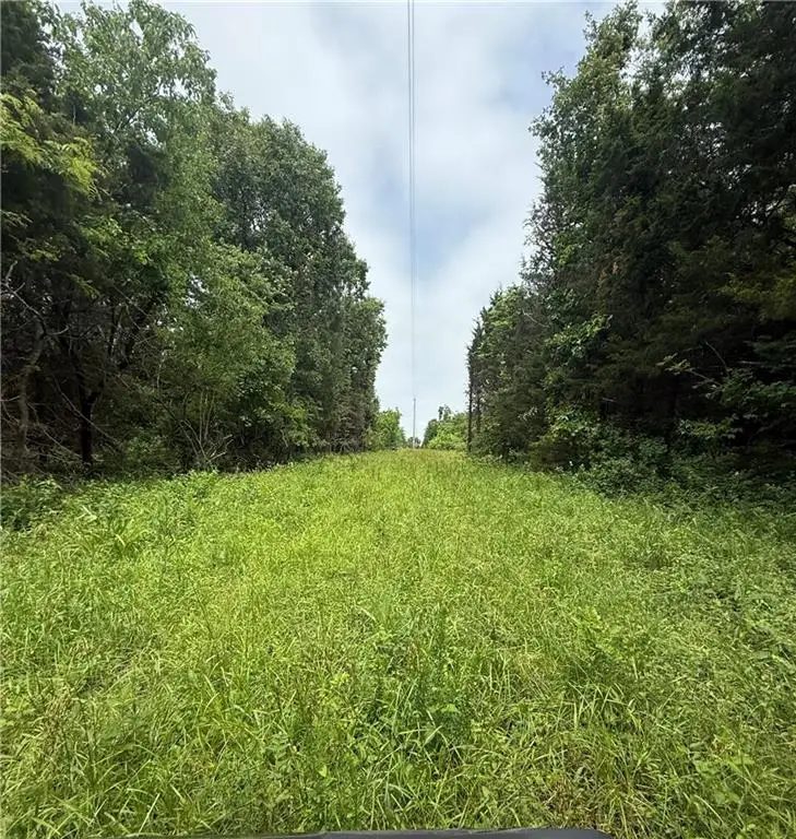 SE 1100 Road, Osage, MO 64760 - #1