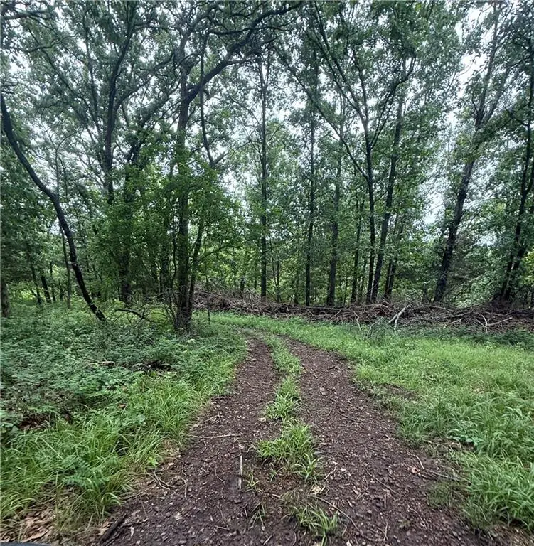 SE 1100 Road, Osage, MO 64760 - #2