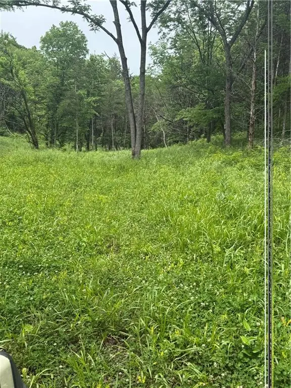 SE 1100 Road, Osage, MO 64760 - #3