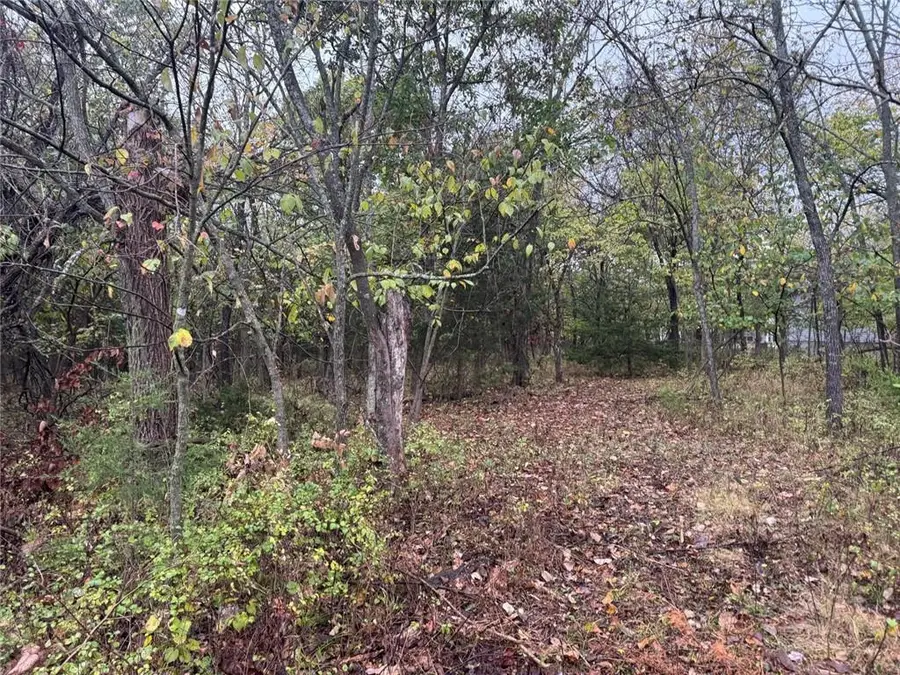 42 N Linn Valley Drive, Linn Valley, KS 66040 - #2