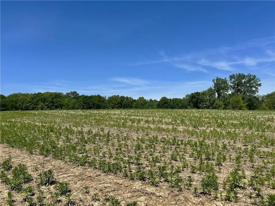 E Colbern Road, Lone Jack, MO 64070 - #2