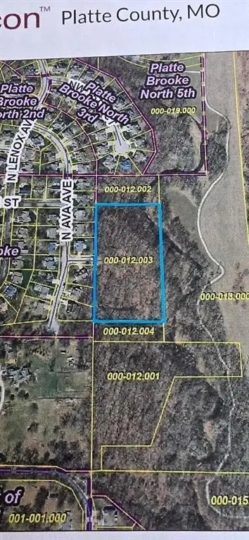 Ava 4.90 Street, Kansas City, MO 64151 - #1