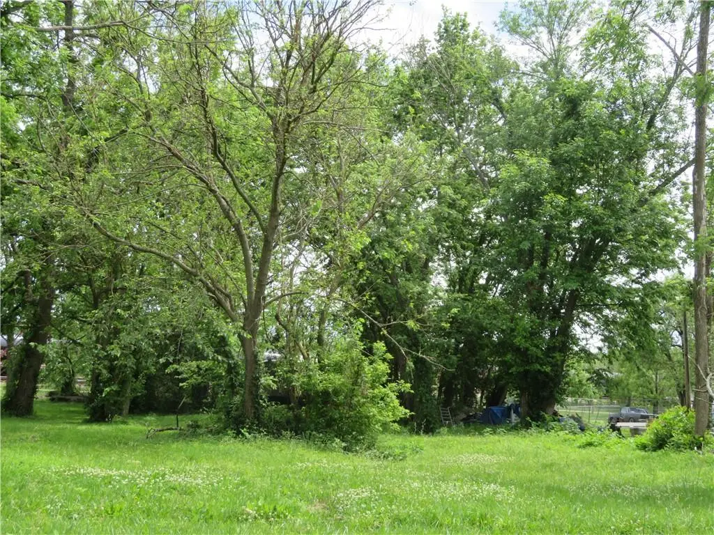 809 Chestnut Avenue, Osawatomie, KS 66064 - #1
