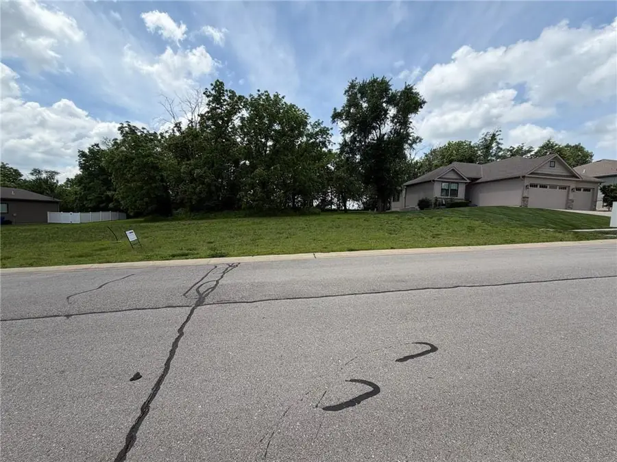 1123 S 13 Street, Louisburg, KS 66053 - #3