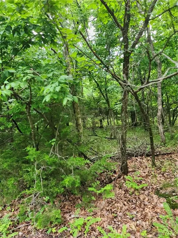 35 Mystic Valley Drive, Linn Valley, KS 66040 - #3