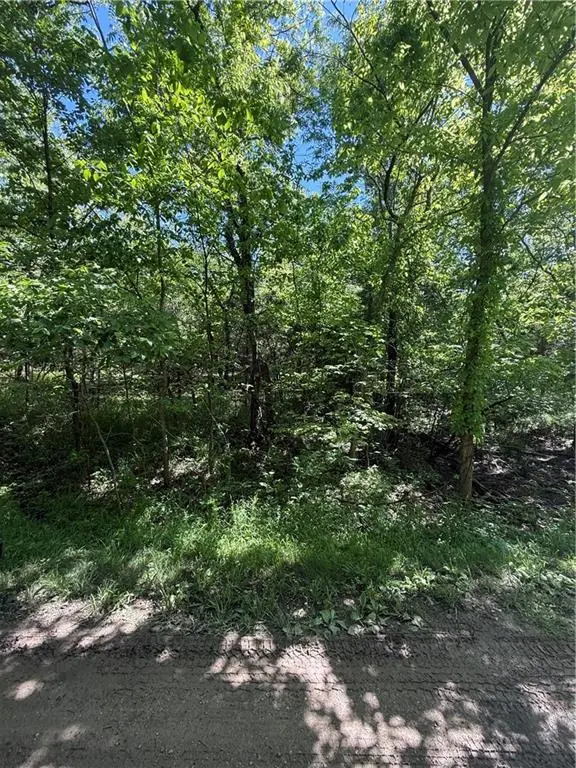 10 Scenic Lane, Linn Valley, KS 66040 - #1
