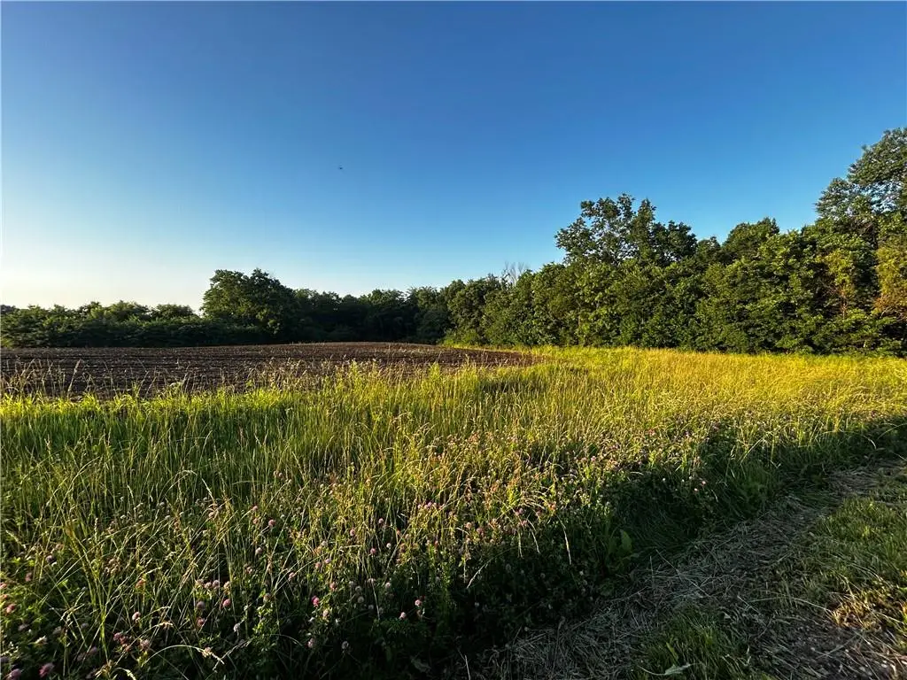 252 Sw 601st Rd Road, Centerview, MO 64019 - #1