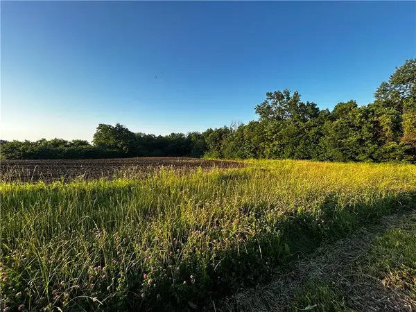 252 Sw 601st Rd Road, Centerview, MO 64019