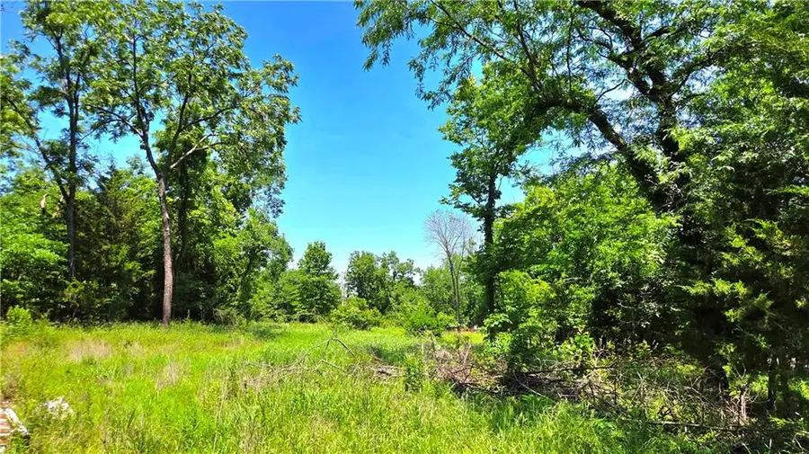 1 Shady Hollow Drive, Linn Valley, KS 66040 - #3