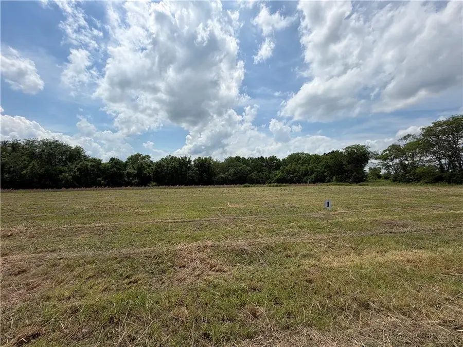 S Gibbons, Lot 1 Road, Pleasant Hill, MO 64080 - #3