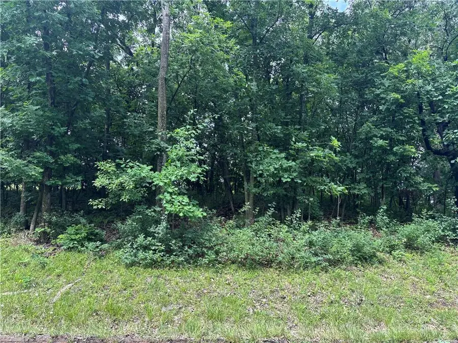 Lot 3063 Lake Viking Terrace, Altamont, MO 64620 - #3