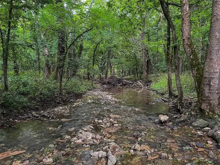 Tbd Road, Hume, MO 64752 - #3