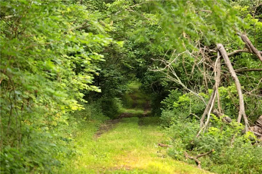 Nw Of Waller Road, Richmond, MO 64085 - #2