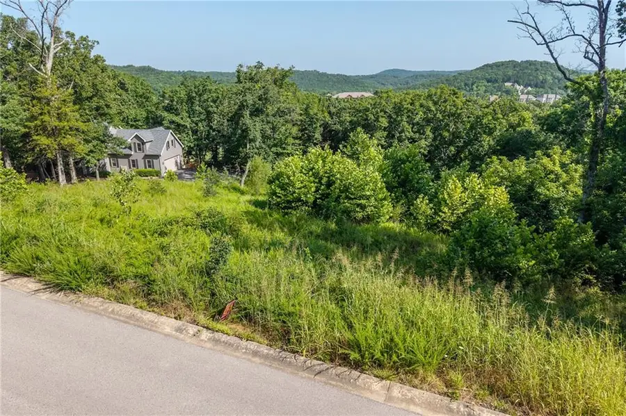 Lot 9 Country Ridge Drive, Camdenton, MO 65020 - #3