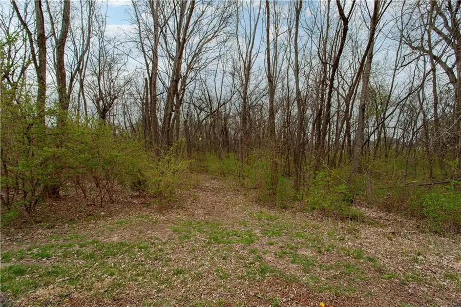 802 SE Willow Ridge Drive, Blue Springs, MO 64014 - #3
