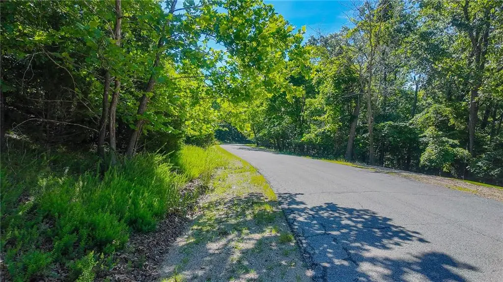 Lot #251 Grand Cove Road, Sunrise Beach, MO 65079 - #1