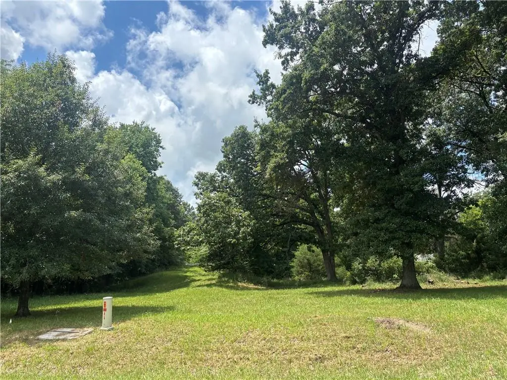 Lot 1052 Lake Viking Terrace, Gallatin, MO 64640 - #1