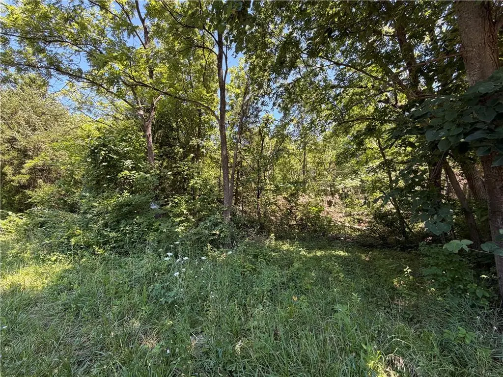 Gardner Road, Oak Grove, MO 64075 - #1