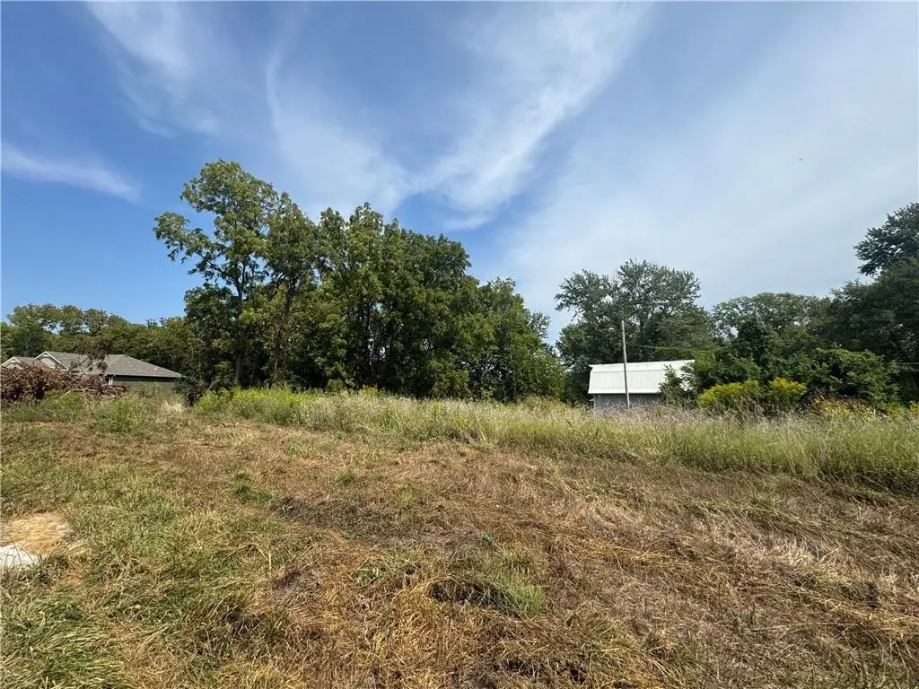 1705 Locust Street, Oak Grove, MO 64075 - #1