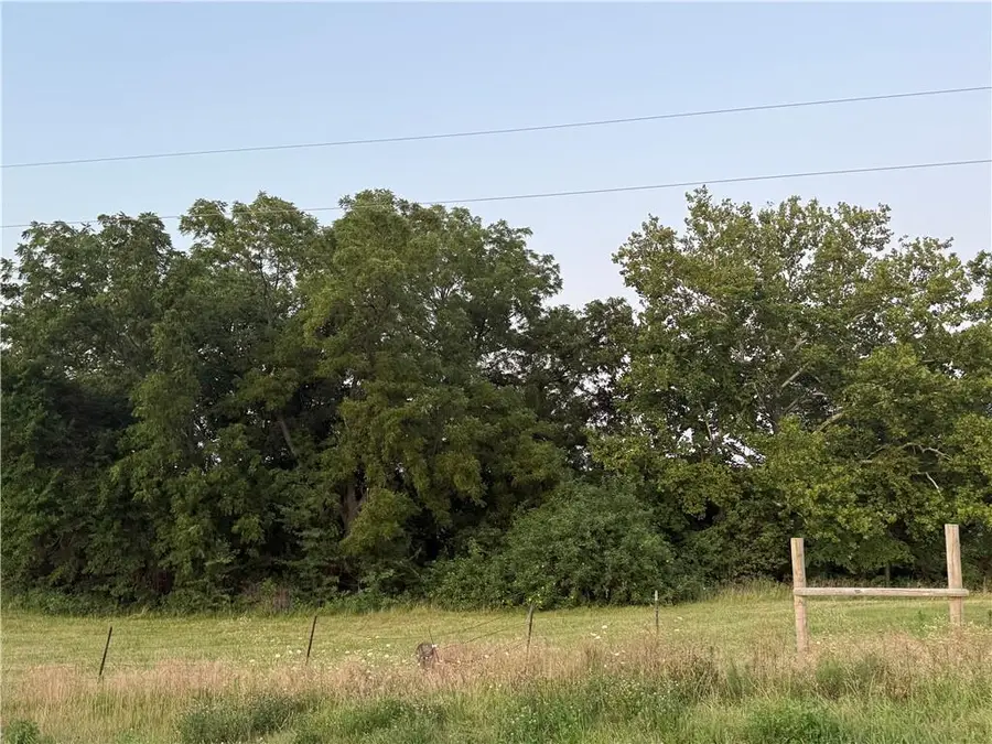 5216 Texas Prairie B Road, Odessa, MO 64076 - #2