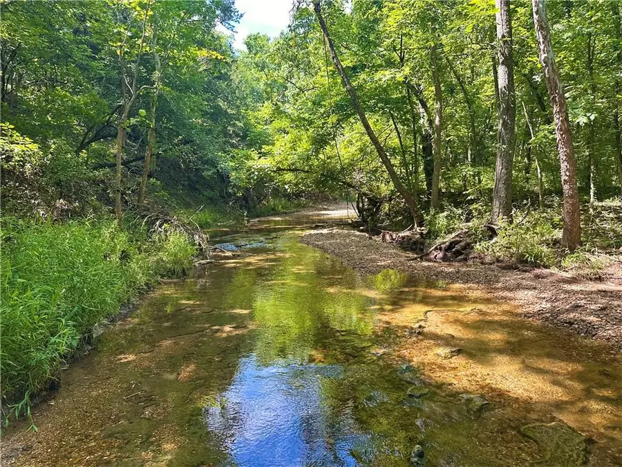 Ervin Lane, Warsaw, MO 65355 - #2
