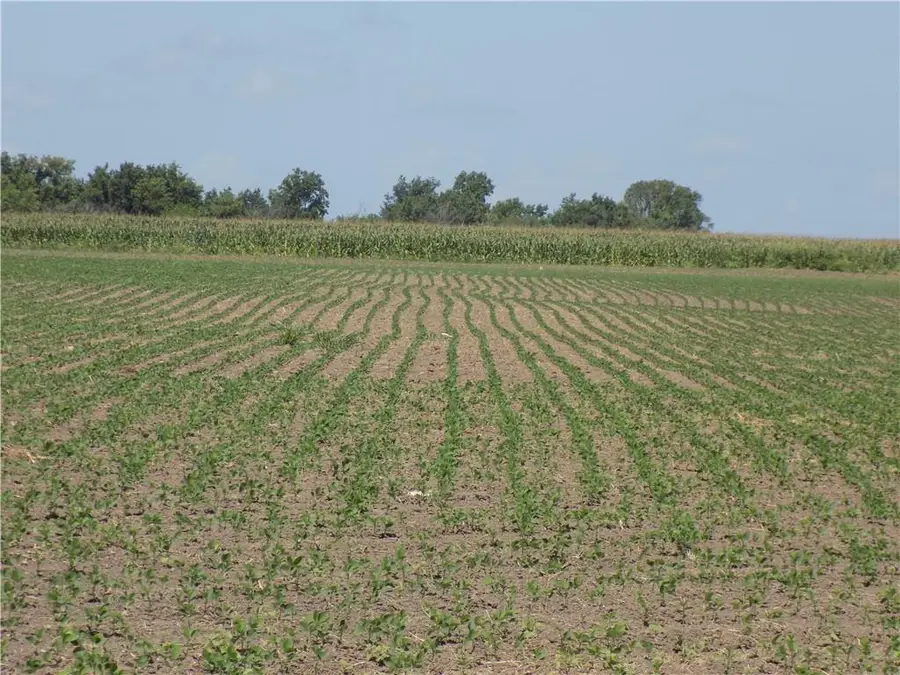 00000 SE 900 Road, Kincaid, KS 66039 - #3