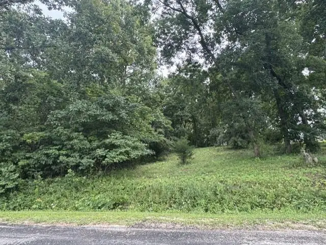 Lot 1915 1916 Lake Viking Terrace, Gallatin, MO 64640 - #2