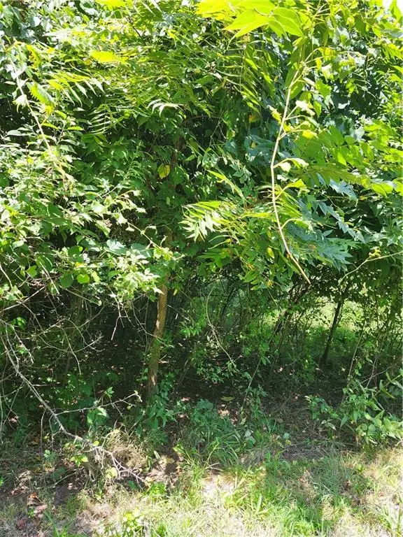 65 Pheasant Run N/a, Linn Valley, KS 66040 - #3