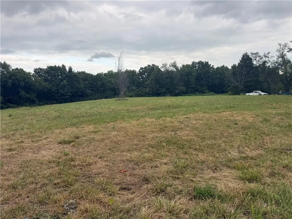 Klatt Road, Excelsior Springs, MO 64024 - #1