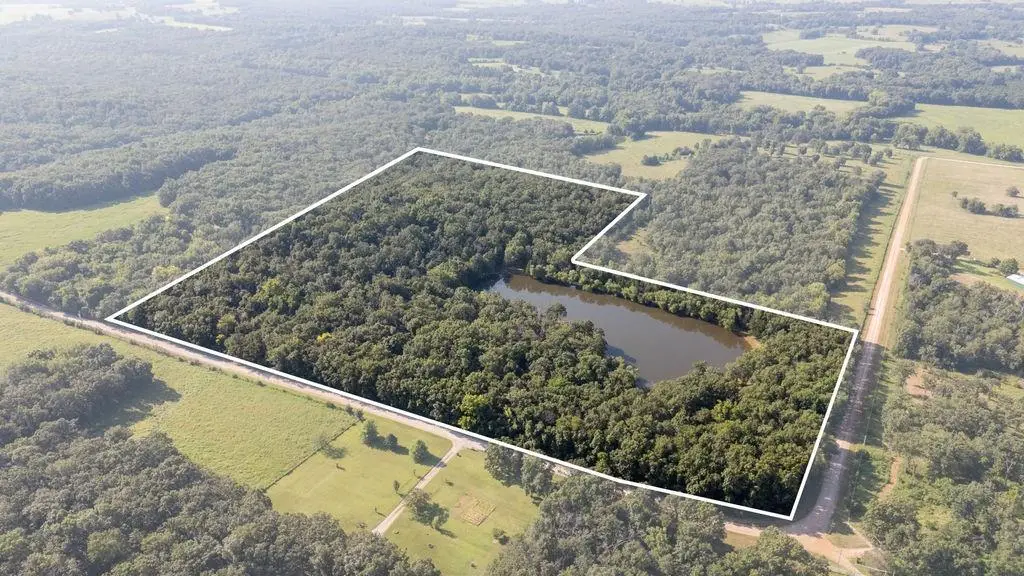 0000 SW 900 Road, Speedwell, MO 64776 - #1