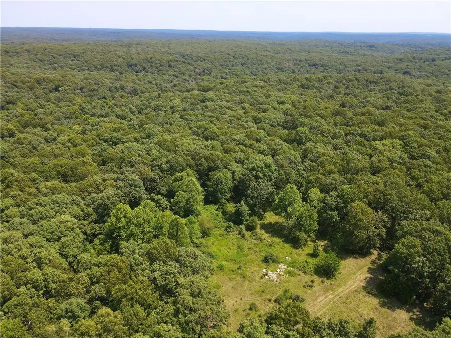 33001 Panther Way, Cole Camp, MO 65325 - #2