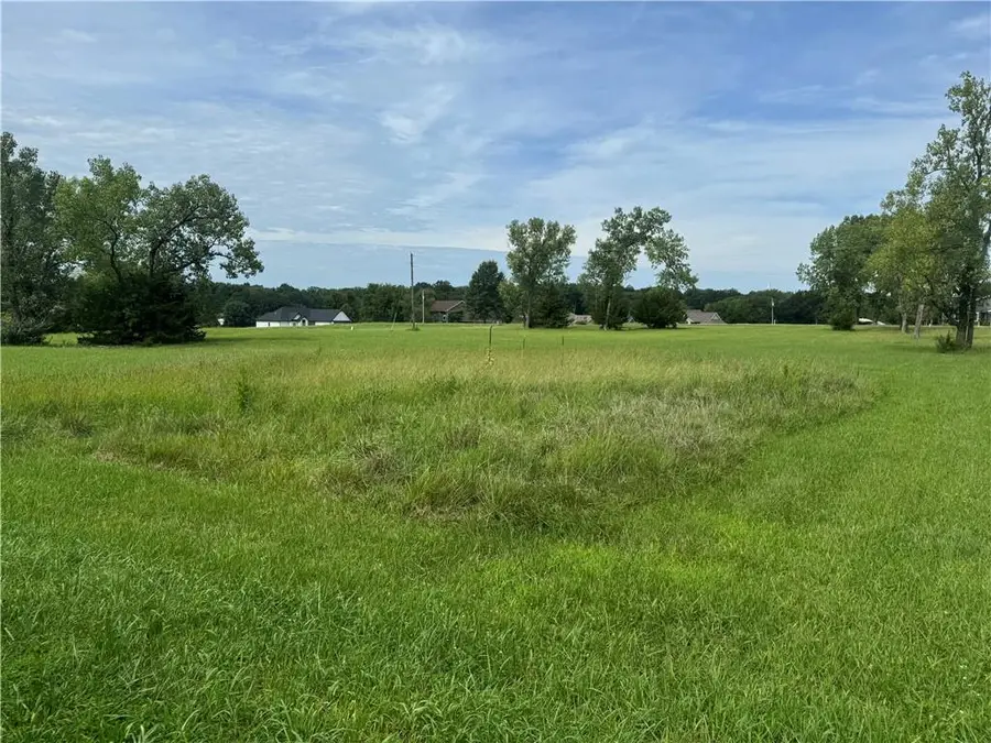 Lot 2263 Skipper Road, Gallatin, MO 64640 - #2