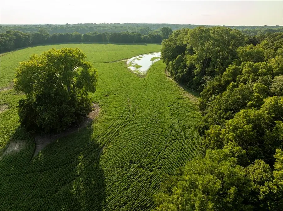 0000 Hatchell Road, Tonganoxie, KS 66086 - #3