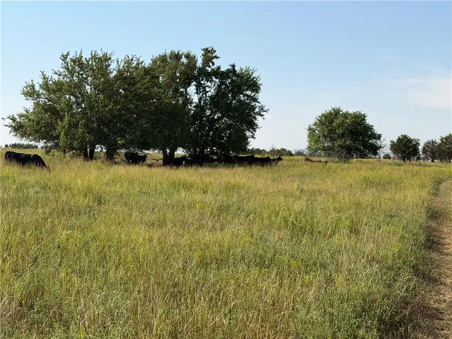 800 Road, Welda, KS 66091 - #2