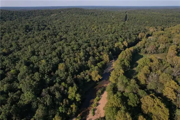 0 Ritchie Lane, Edwards, MO 65326