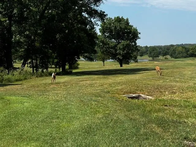 197 & 205 Fascination Lane, Linn Valley, KS 66040 - #2