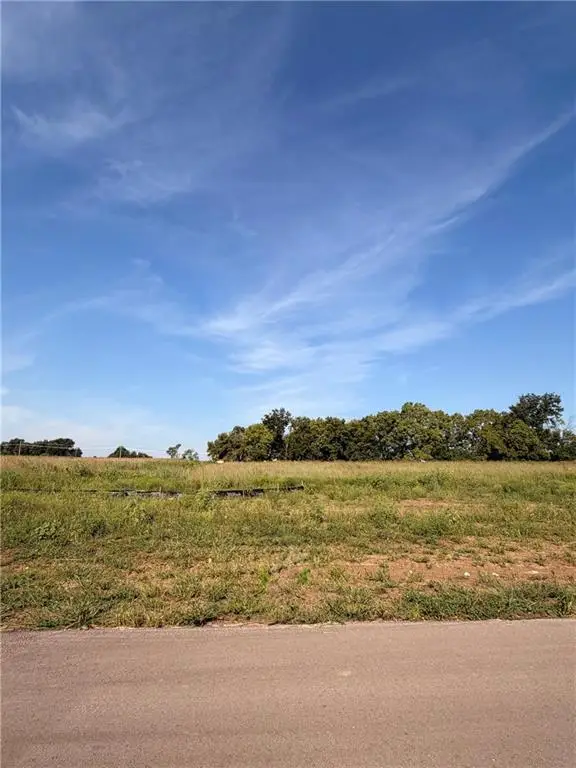 1090 Aria Drive, Raymore, MO 64083 - #1