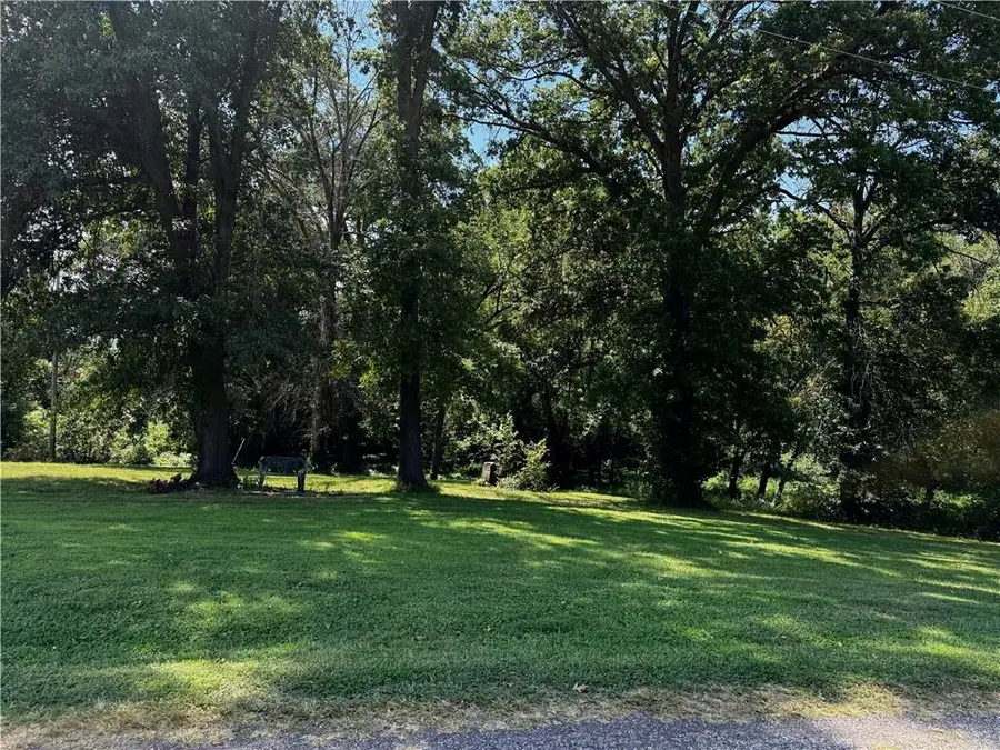 Lot 13 Virginia Street, Sweet Springs, MO 65351 - #2