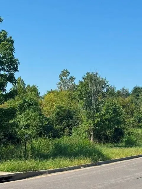 Brookside Drive, Blue Springs, MO 64015