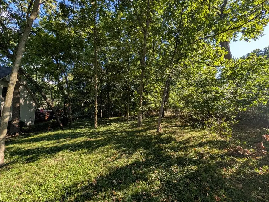 313 N Briarcliff Circle, Kansas City, MO 64116 - #3