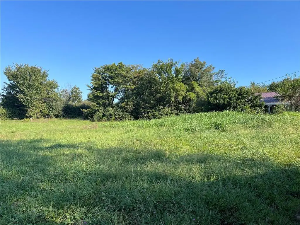 1143 NW 250th Road, Holden, MO 64040 - #1